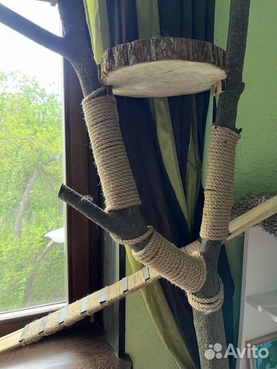 Дерево - когтеточка для кошки