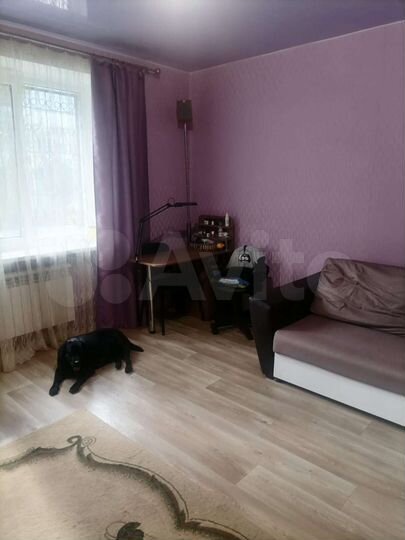 2-к. квартира, 45,5 м², 1/2 эт.