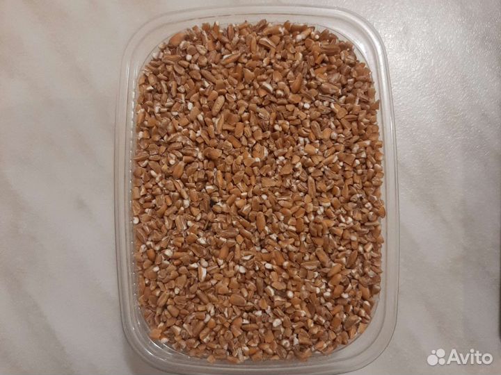 Пшеница дроблёная