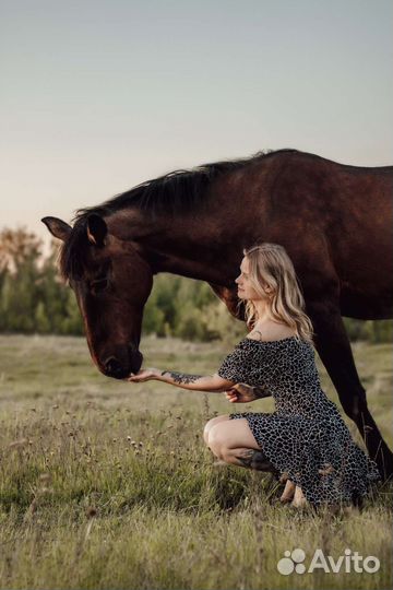 Конные прогулки
