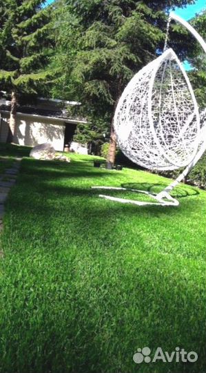 Рулонный газон