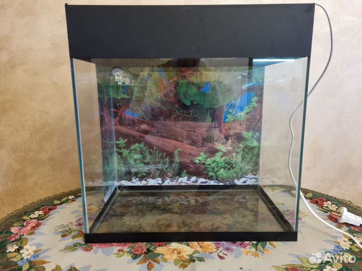 Продаю аквариум