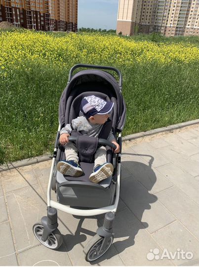 Коляска anex sport 2 в 1