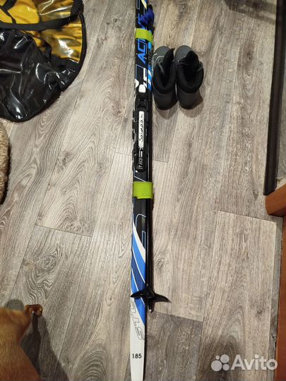 Беговые лыжи