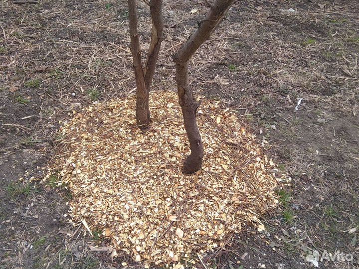 Измельчитель веток, щепорез, дробилка