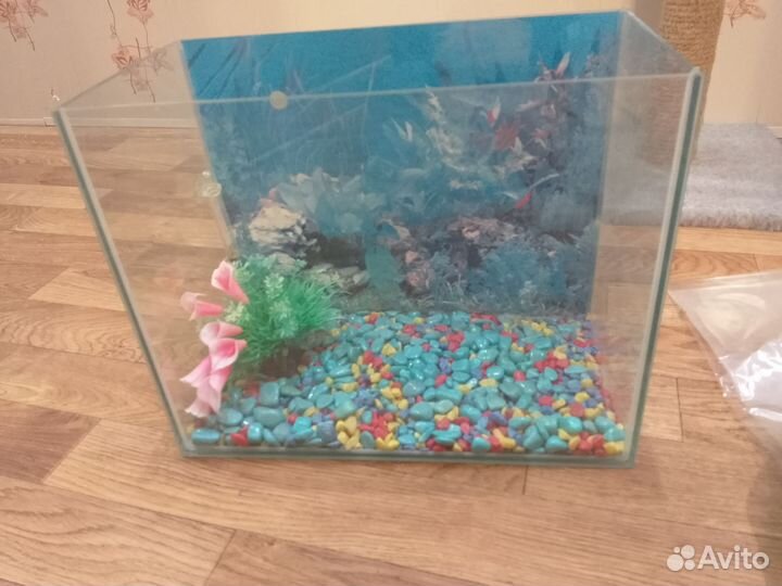 Аквариум