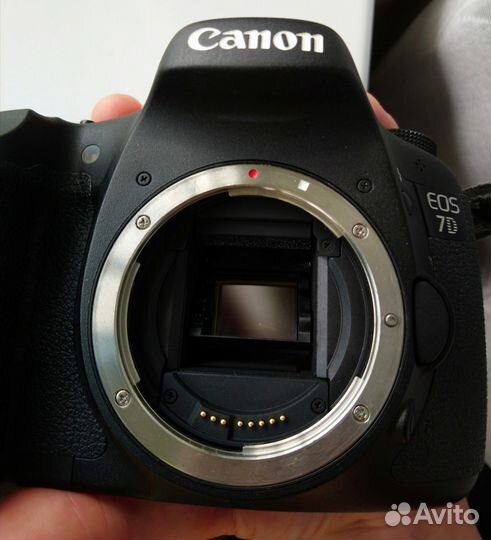 Canon 7D Body
