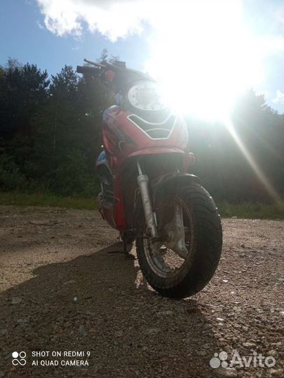 Racer sagita