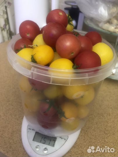 Помидоры свежие домашние