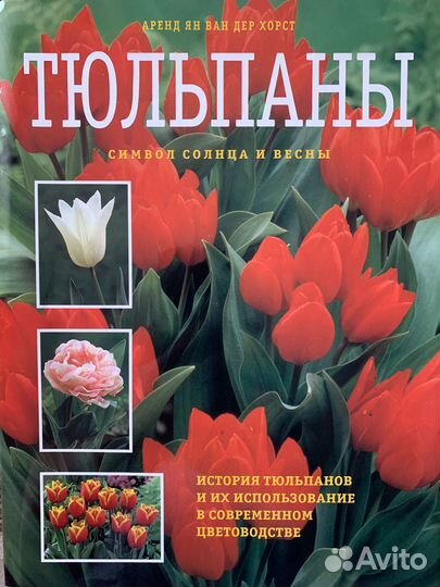 Тюльпаны. Символ солнца и весны. Книга