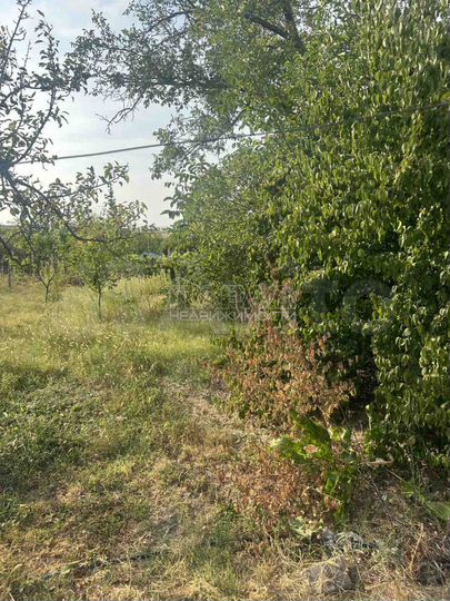 Дом 100 м² на участке 9,2 сот.