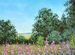 Картина маслом Летний пейзаж с цветами Лес Живопис