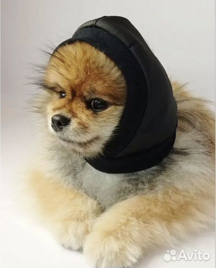 Новая зимняя шапка для собак р.XS