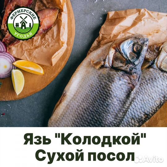 Язь Колодкой Сухой посол и хк Опт. Розница
