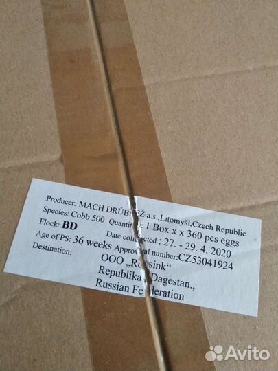 Цыплята бройлеры Kob 500, Red bro