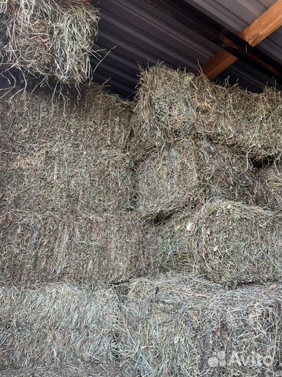 Сено в тюках