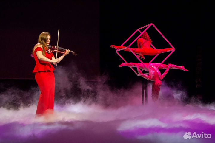 Шоу на свадьбу. Заказать скрипку, живая музыка