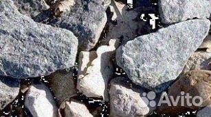 Щебень щпс отсев