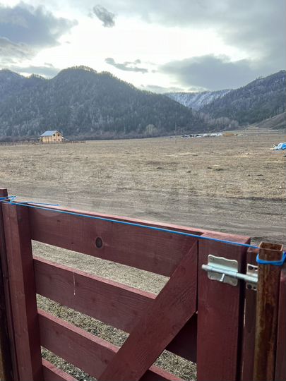 Участок 10 сот. (СНТ, ДНП)