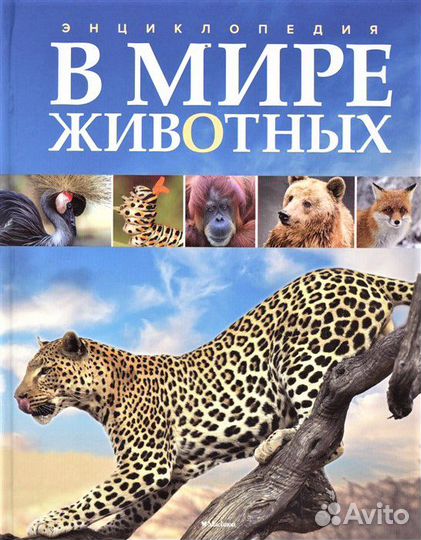 Энциклопедия 