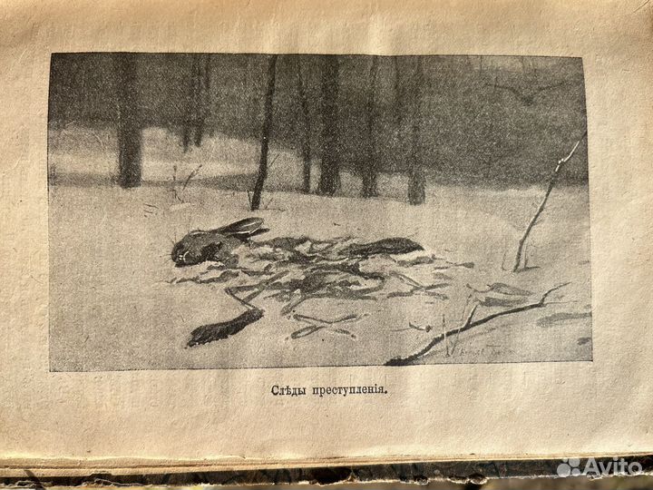 Юные дикари Э. Томпсонъ-Сетонъ