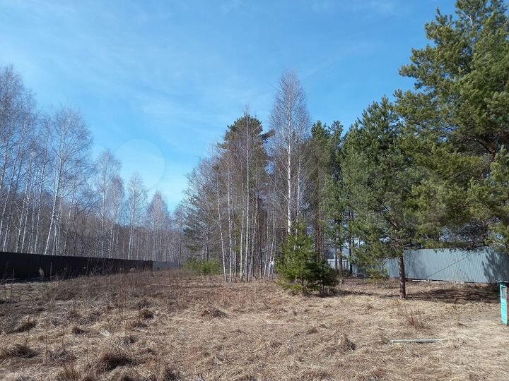 Участок 38 сот. (СНТ, ДНП)