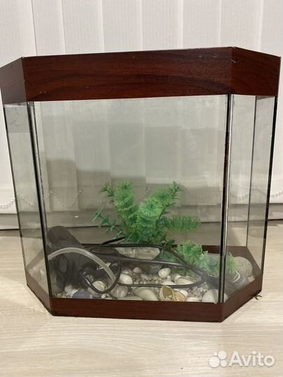 Аквариум