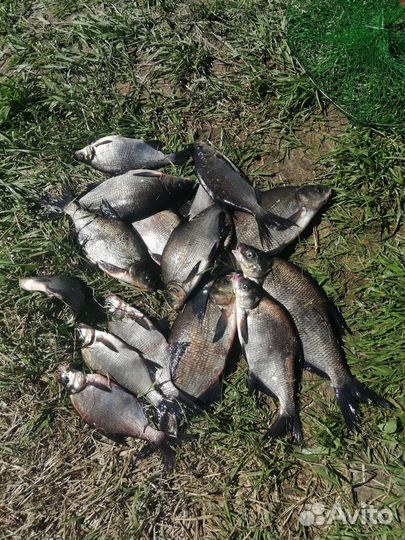 Фидерное удилище бу