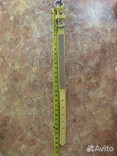 Ошейник для животных