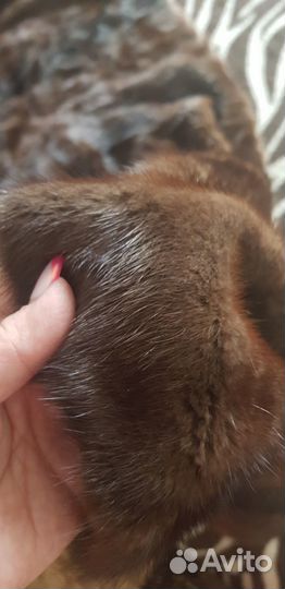 Продам отрез от норковой шубы