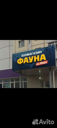 Продавец консультант в зоомагазин 