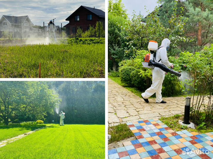 Обработка участка от клещей, кротов и мышей