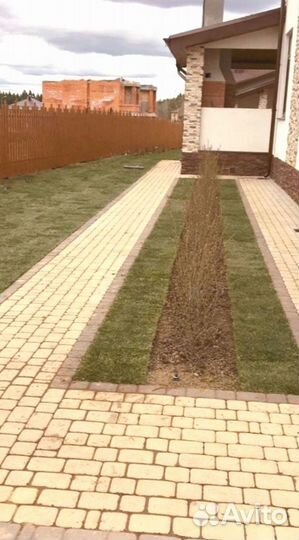 Рулонный газон