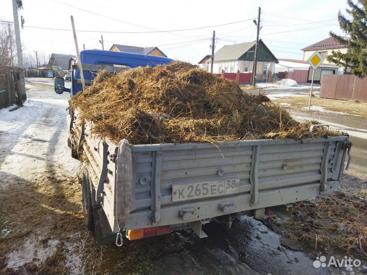 Навоз коровий