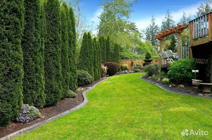 Рулонный газон Премиум»