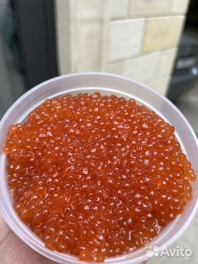 Икра Горбуши 2023