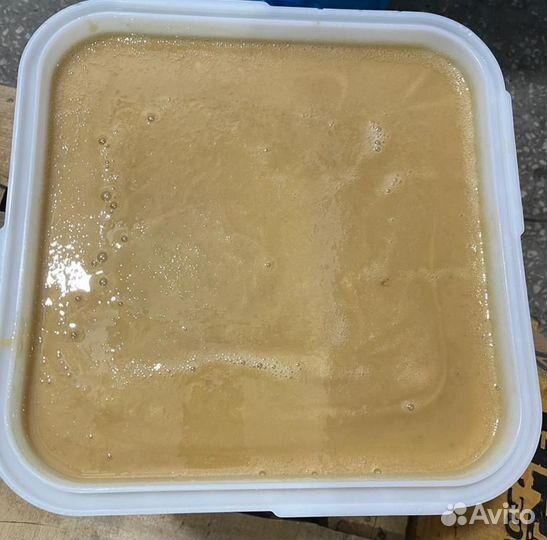 Лесной свежий мёд опт