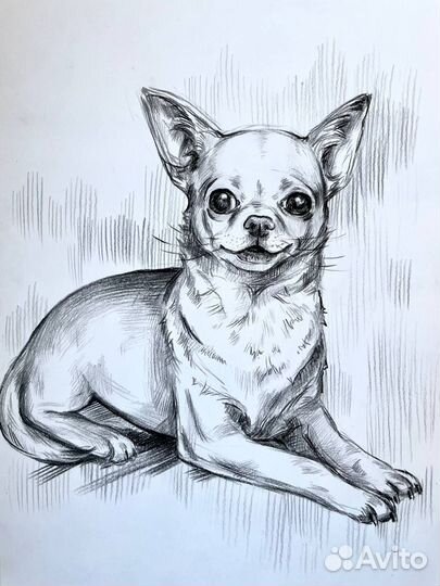 Портрет домашнего питомца по фото