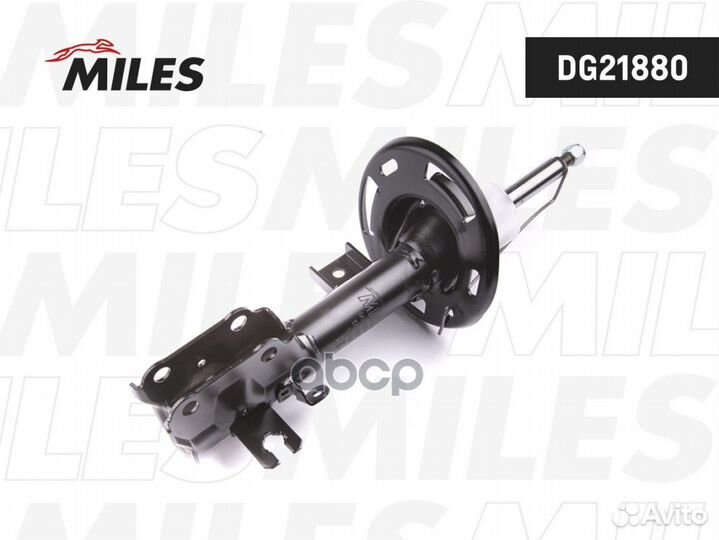 DG21880 DG21880 Miles