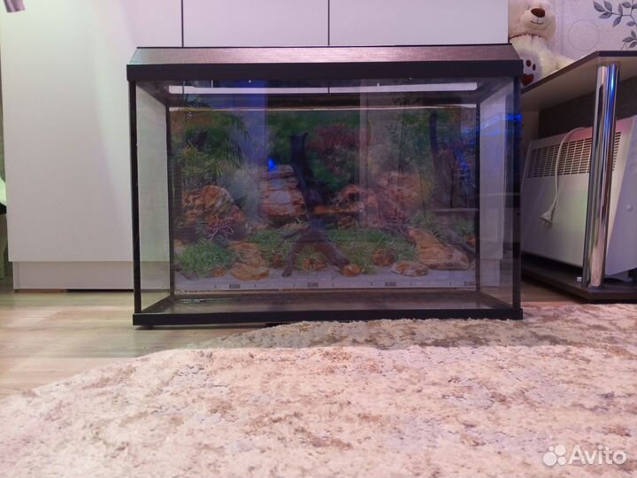 Аквариум 100 литров