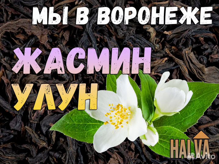 Китайский чай Жасмин улун