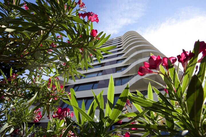 1-к. квартира, 58 м², 5/7 эт.