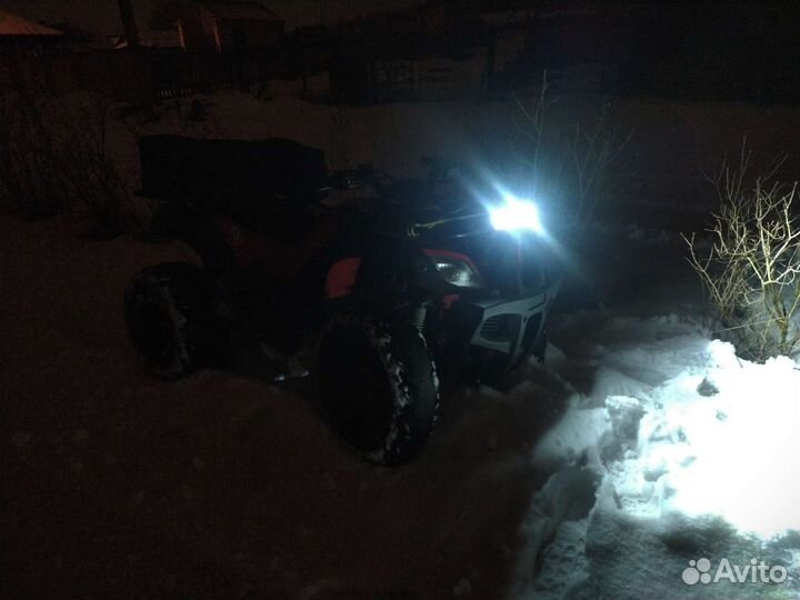 Kayo bull 150