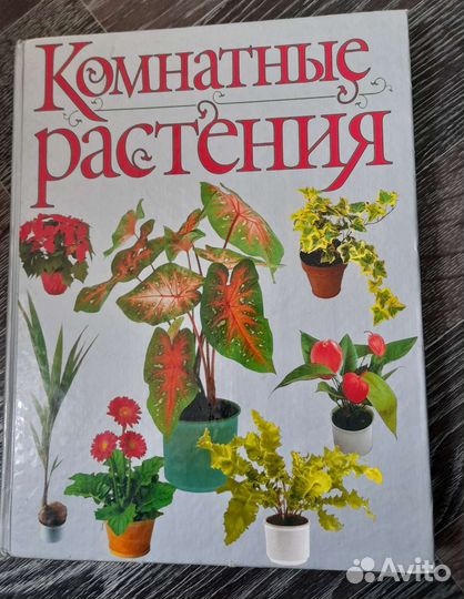 Комнатные растения, А. Бурлуцкая