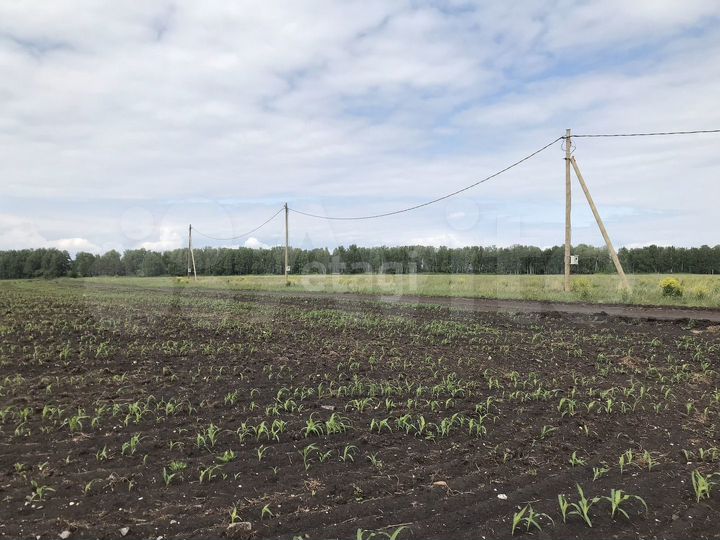 Участок 2,77 га (СНТ, ДНП)