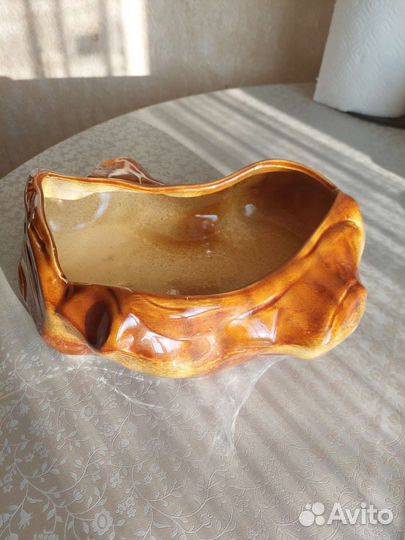 Кактусница керамическая