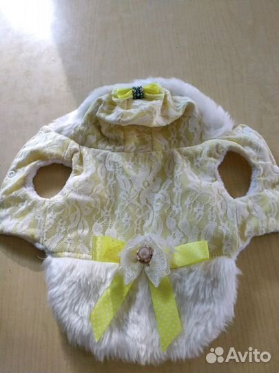 Одежда для маленьких собак