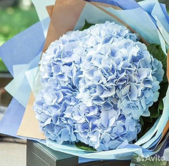 Букеты из Голубой Гортензии 5шт с Доставкой