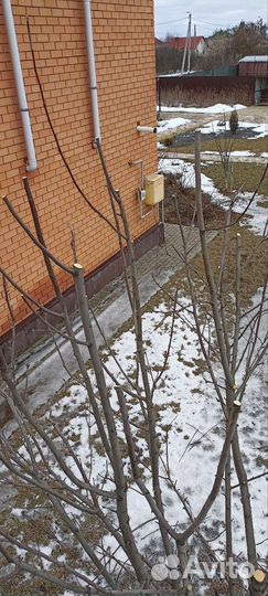 Уход за садом. Профессиональный