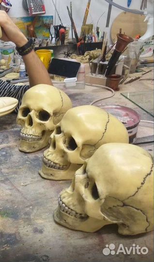 Череп из гипса